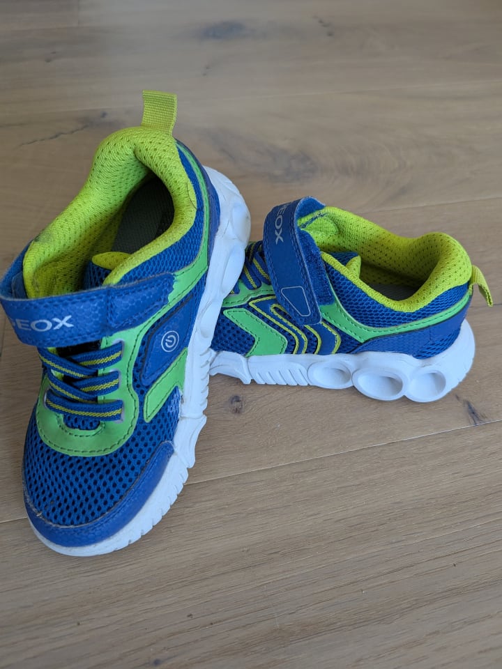 Geox Sneakers 