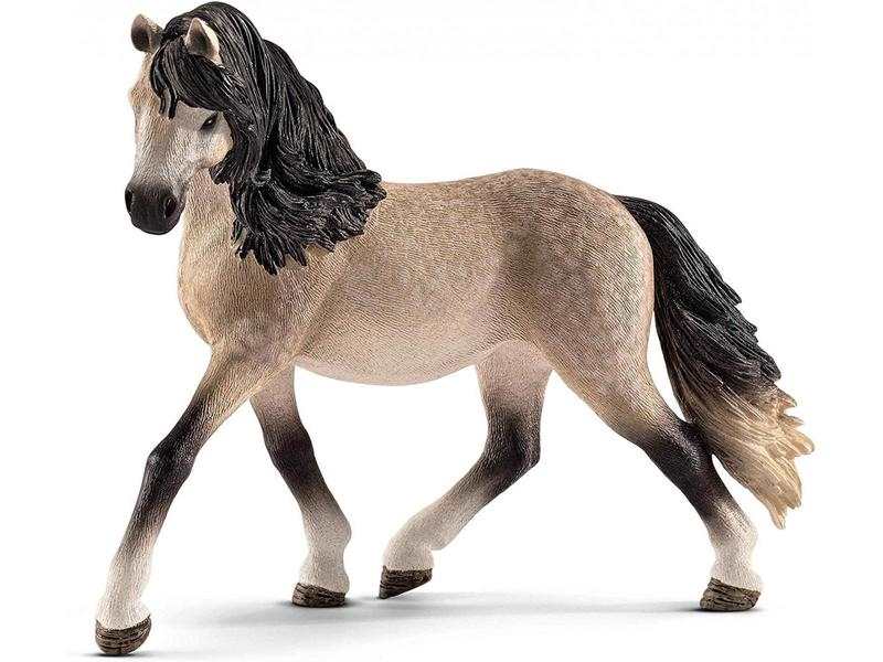 Jument andalouse