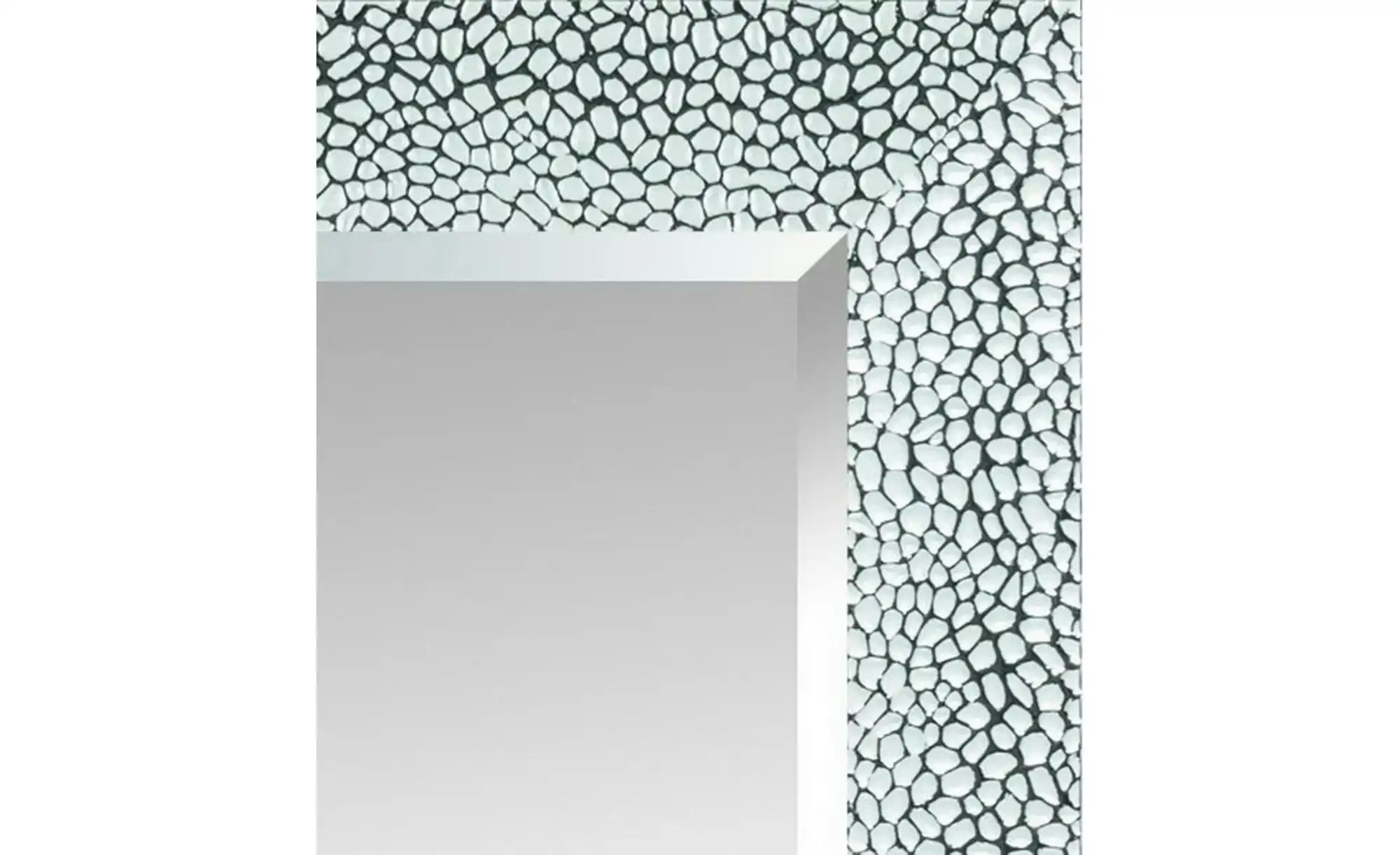 Spiegel 63 x 163 cm