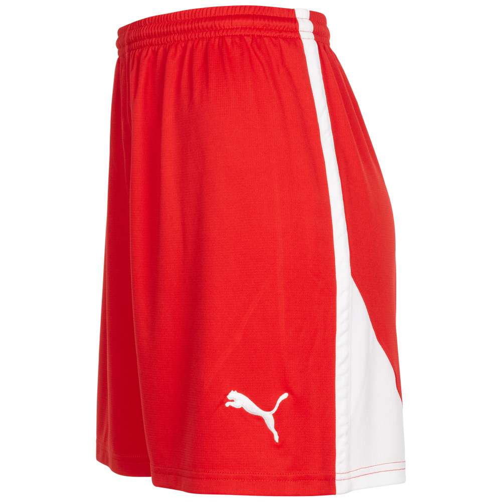 PUMA V5.06 Damen Trainings Shorts 700283-02