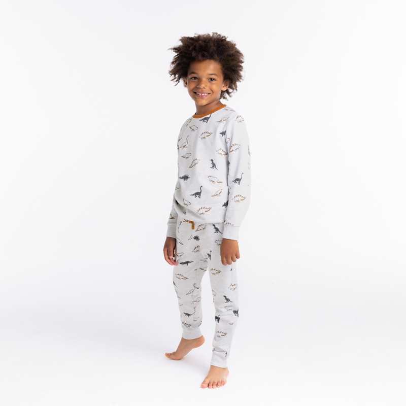 Pyjama 2 pièces en jersey motifs dinosaures gris garçon