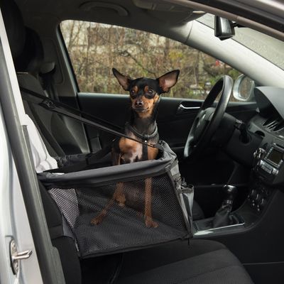 Autositz Booster