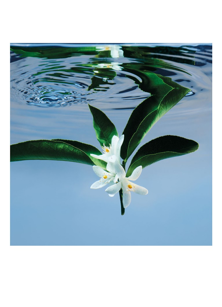 Apă de toaletă Gucci Bloom