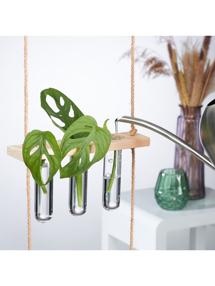 relaxdays Pflanzen Vermehrungsstation in Natur/ Transparent - Mit 2 Ebenen günstig kaufen onesize