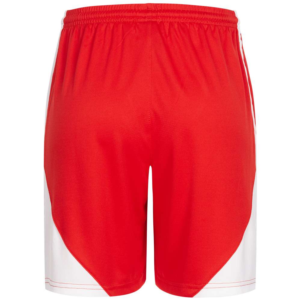 PUMA V5.06 Damen Trainings Shorts 700283-02