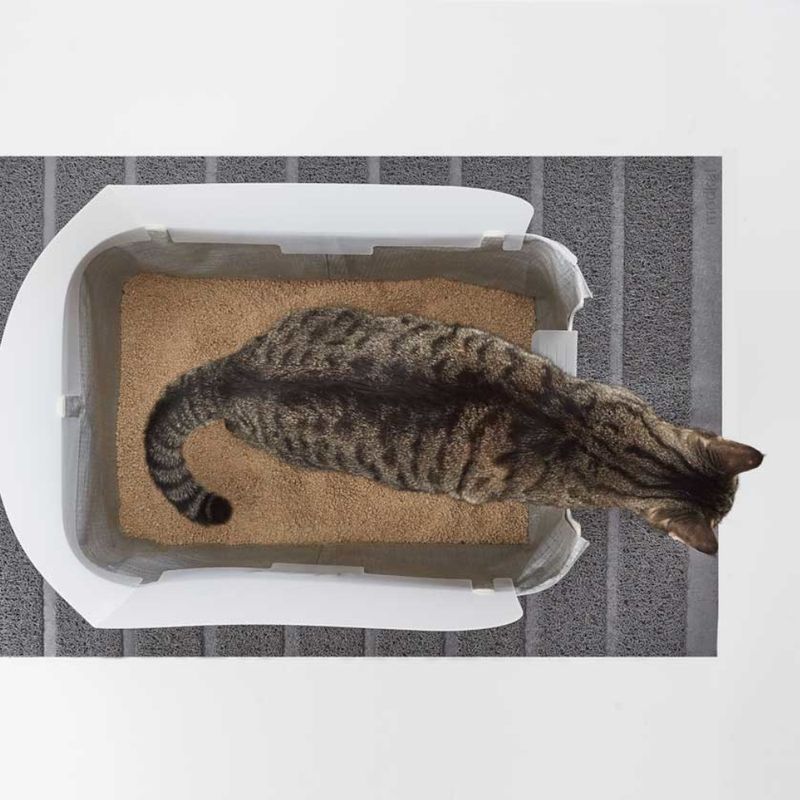Modkat Tray Katzentoilette zu TOP-Preisen