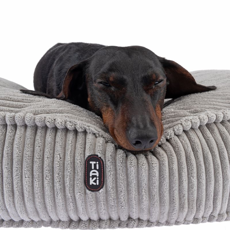 TIAKI Kuschelkissen Conner zu TOP-Preisen