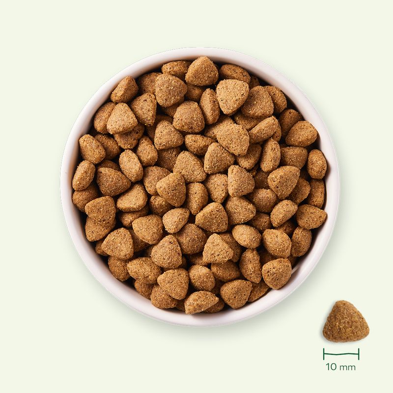 Yarrah Bio Ökologisches Hundefutter Vegetarisch