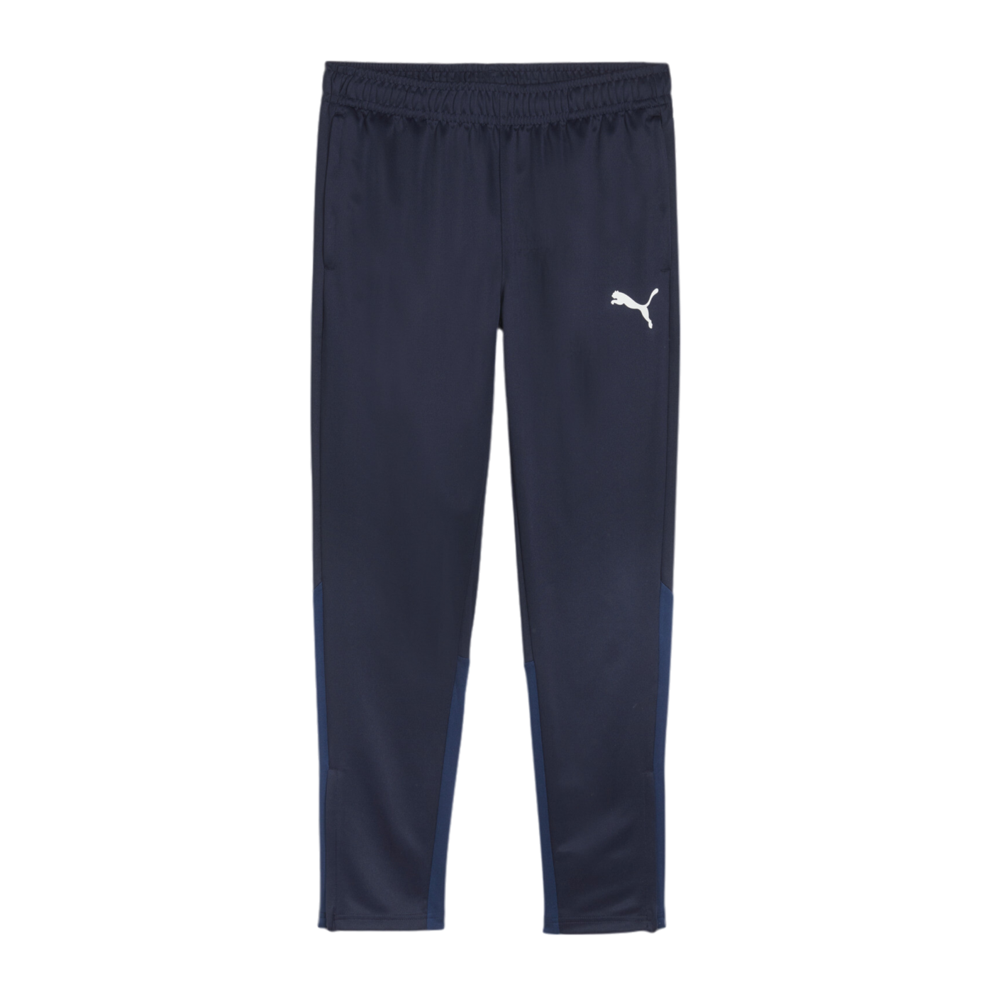 PUMA teamGOAL Training Jogginghose Blau F06