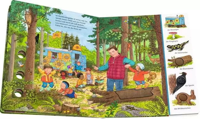 Sachen suchen, Sachen fühlen: Im Wald