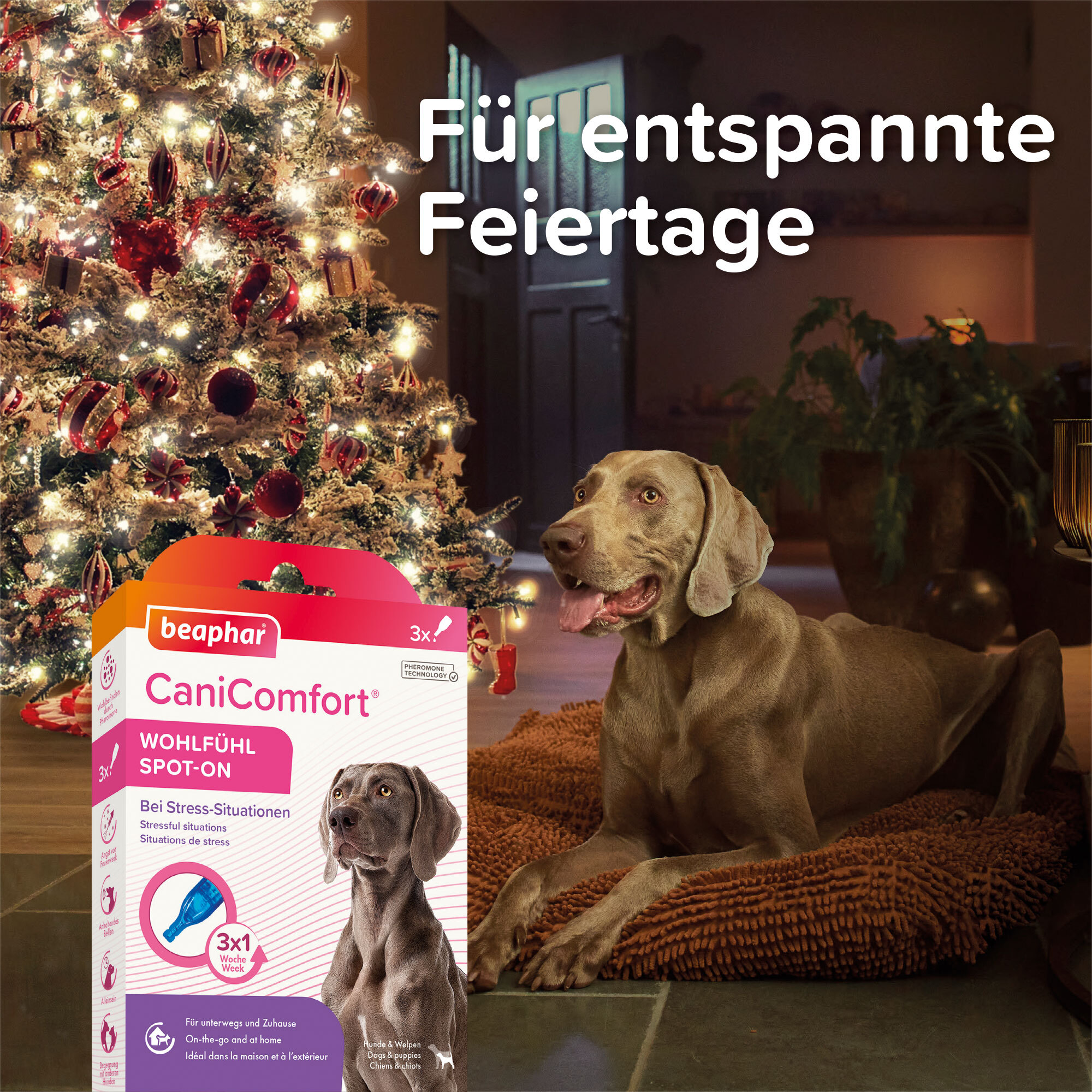 Beaphar Beruhigungsmittel Beaphar CaniComfort Wohlfühl Spot-On 3x1 ml