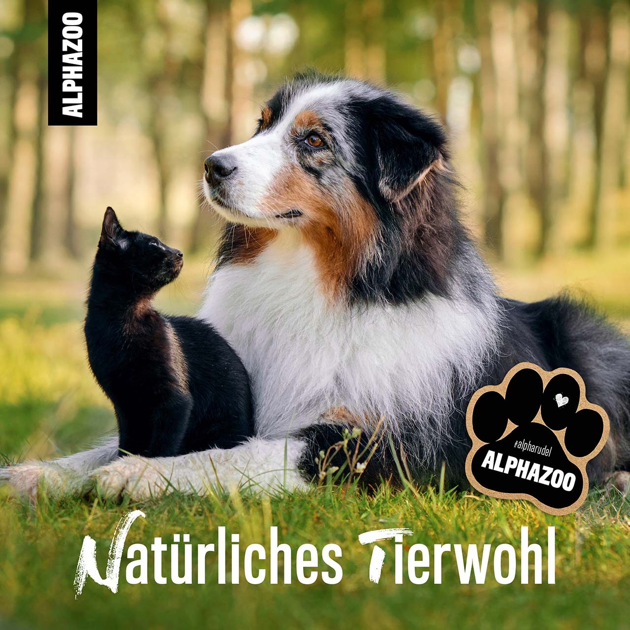 ALPHAZOO Ergänzungsfutter & Aufzucht ALPHAZOO Afrikanische Teufelskralle gemahlen für Hunde und Katzen 100 g