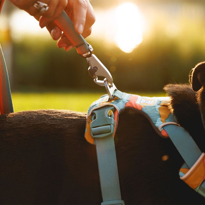 Ruffwear Front Range Hundegeschirr, Spring Mountains | bitiba.de