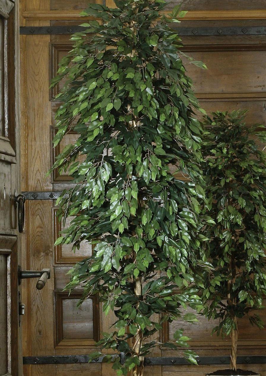 Kunstpflanze Ficus Benjamini Ficus Benjamini, Creativ green, Höhe 120 cm