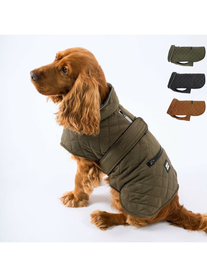 PAW WOW Hundejacke FRITZ Olive günstig kaufen