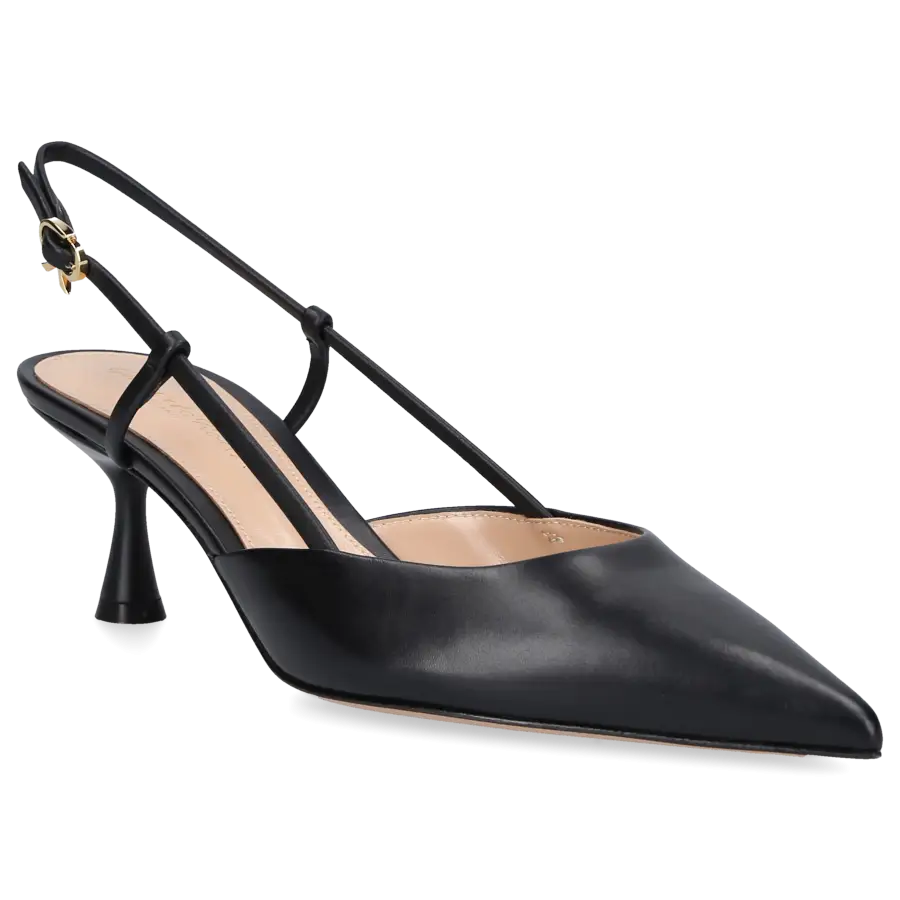 Gianvito Rossi - Pumps ASCENT Nappaleder - schwarz