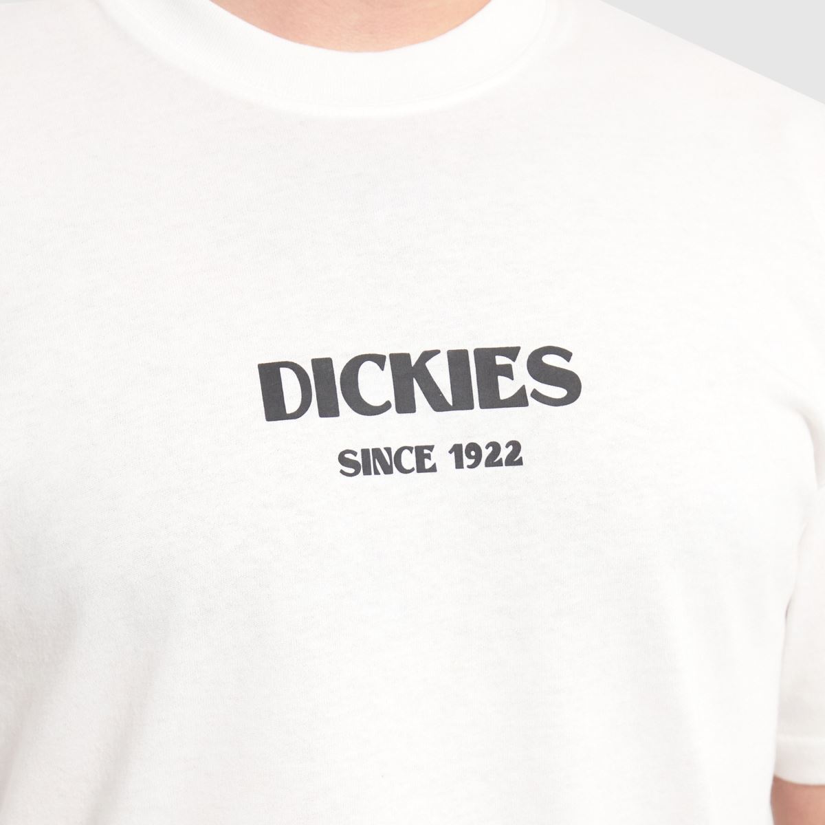 DICKIES – Max Meadow – Vit t-shirt