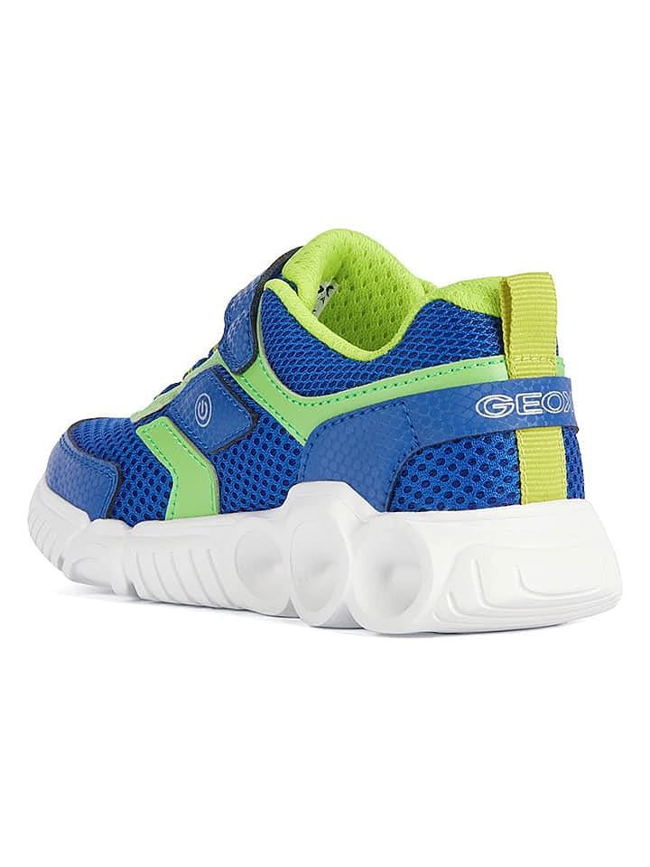 Geox Sneakers 