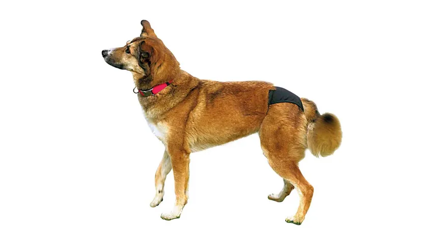 Trixie Hunde Schutzhöschen schwarz L 50-59cm