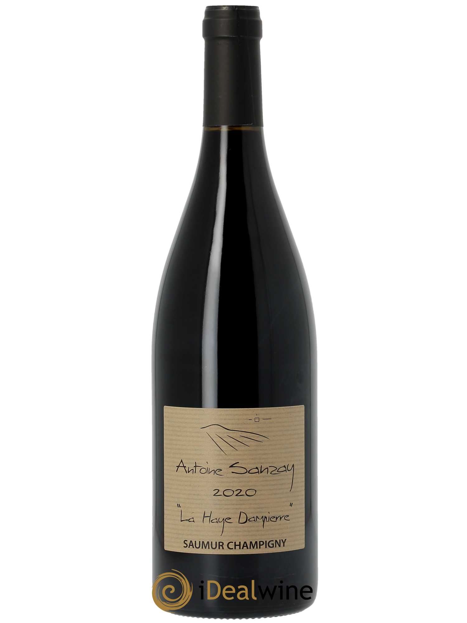 Saumur-Champigny La Haye Dampierre Antoine Sanzay  2020 - Lot de 1 Bouteille