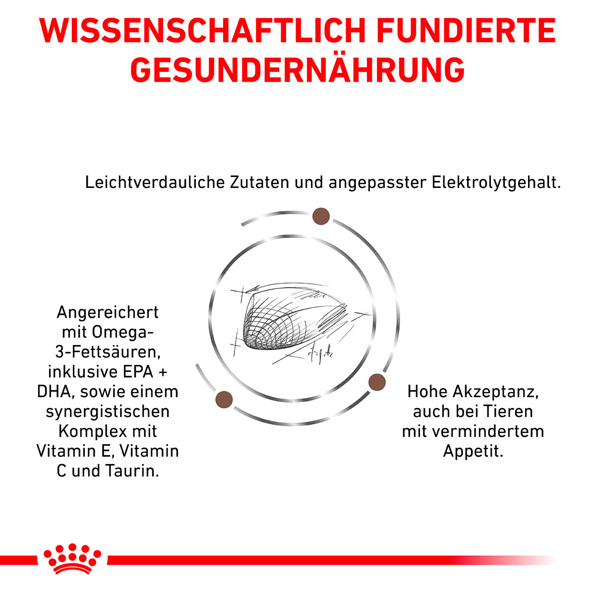 ROYAL CANIN Veterinary GASTROINTESTINAL Trockenfutter für Katzen