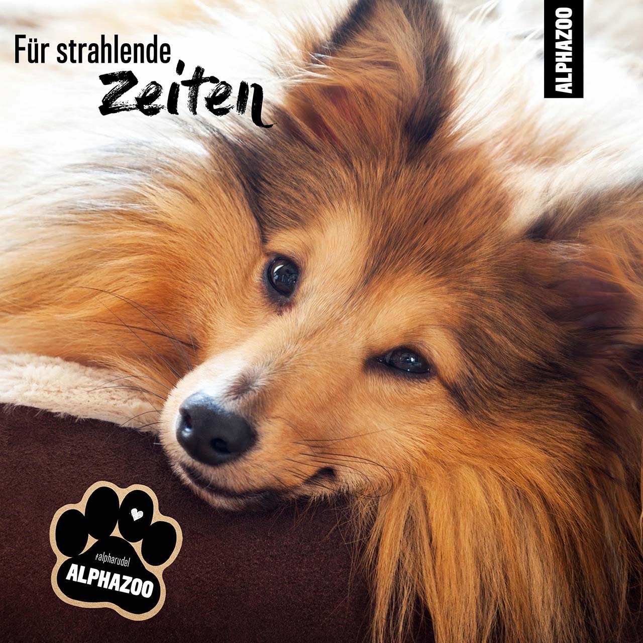 ALPHAZOO Fellpflege ALPHAZOO Fellliebe Pflegespray für Hunde, Katzen, Haus- & Hoftiere 500 ml