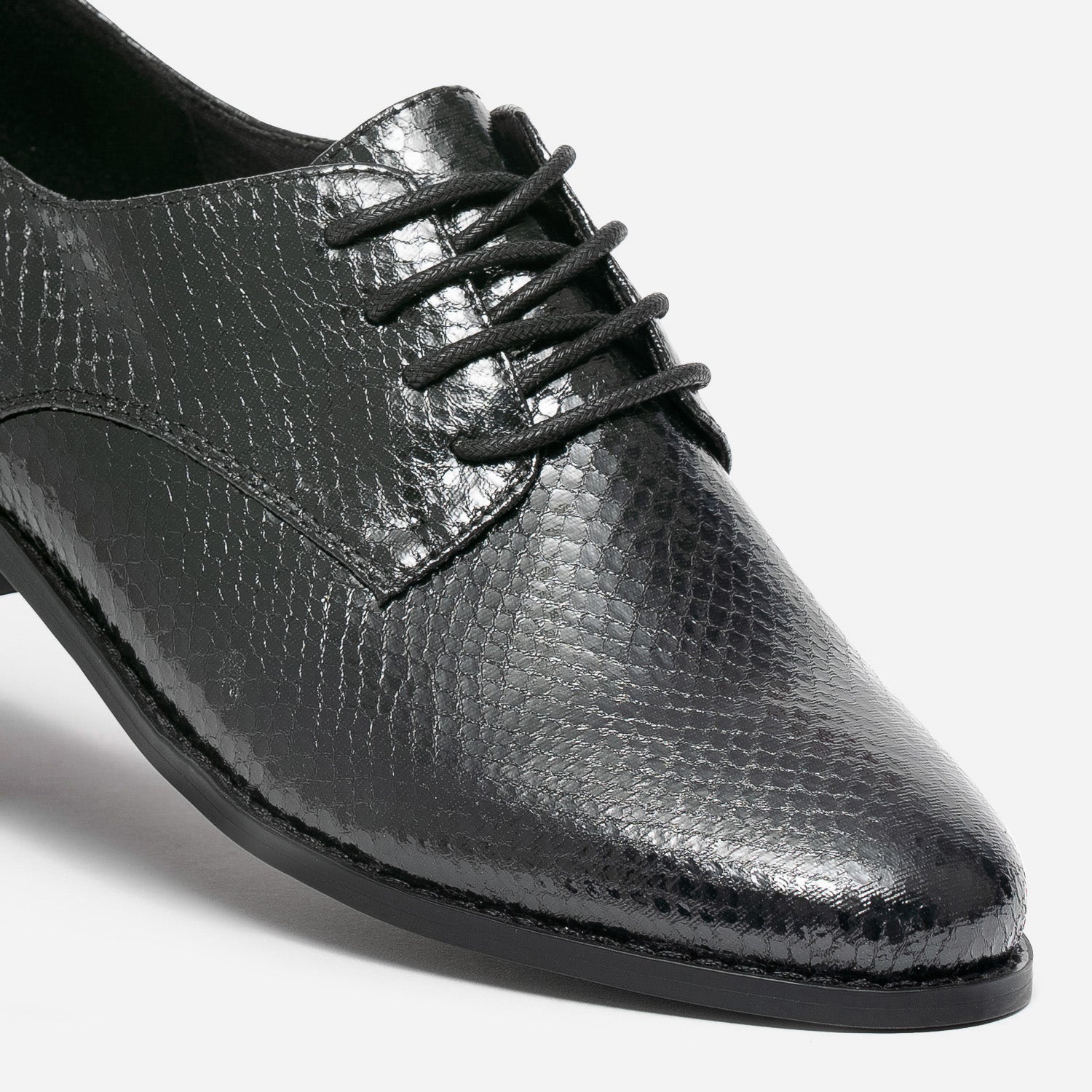 Derby éco-conçu noir verni effet python