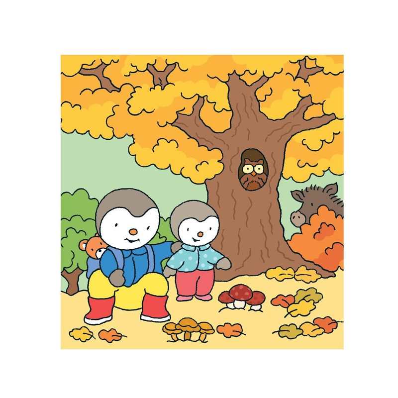 Livre T choupi se promène en forêt - Nathan Jeunesse