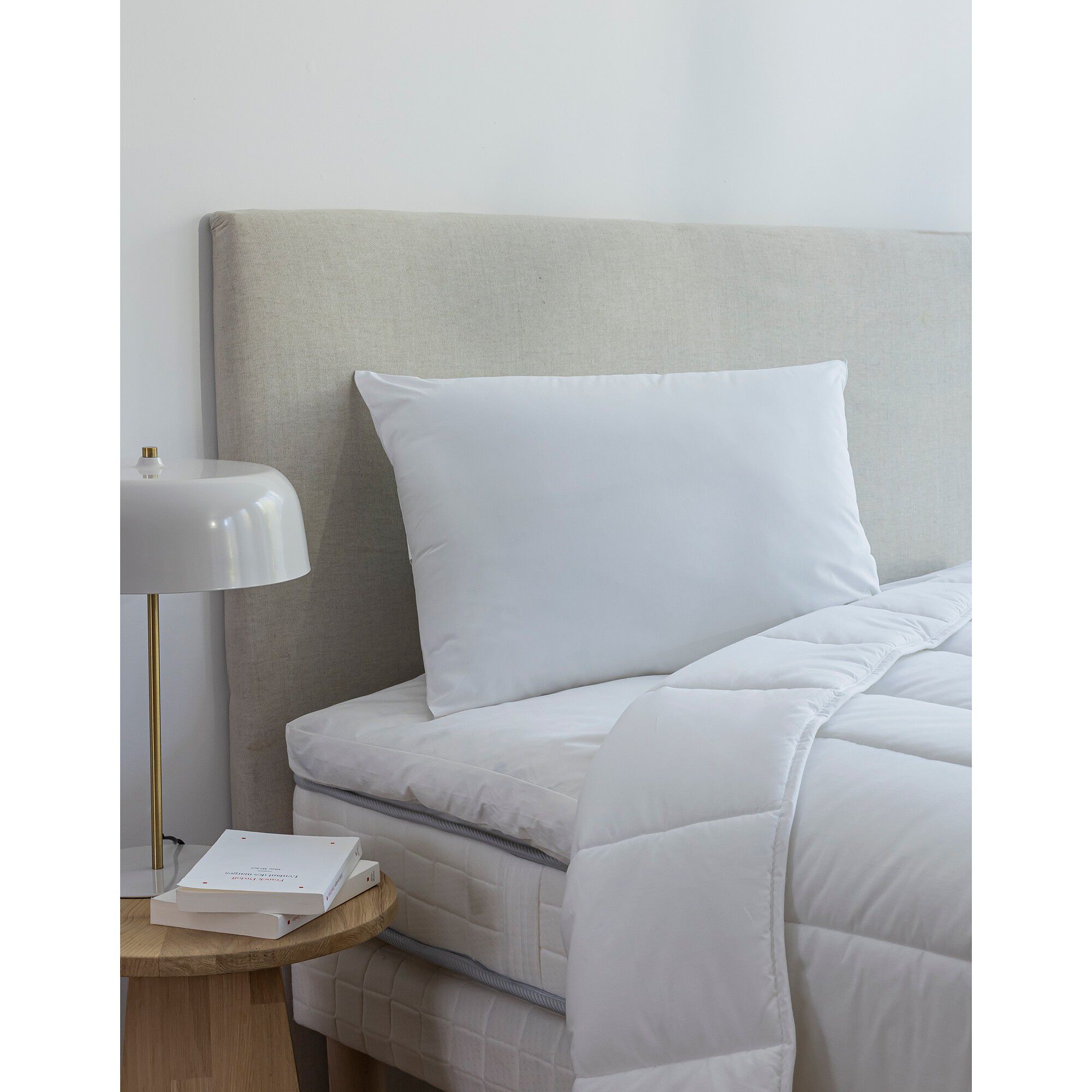 Oreiller anti-acariens Proneem ferme