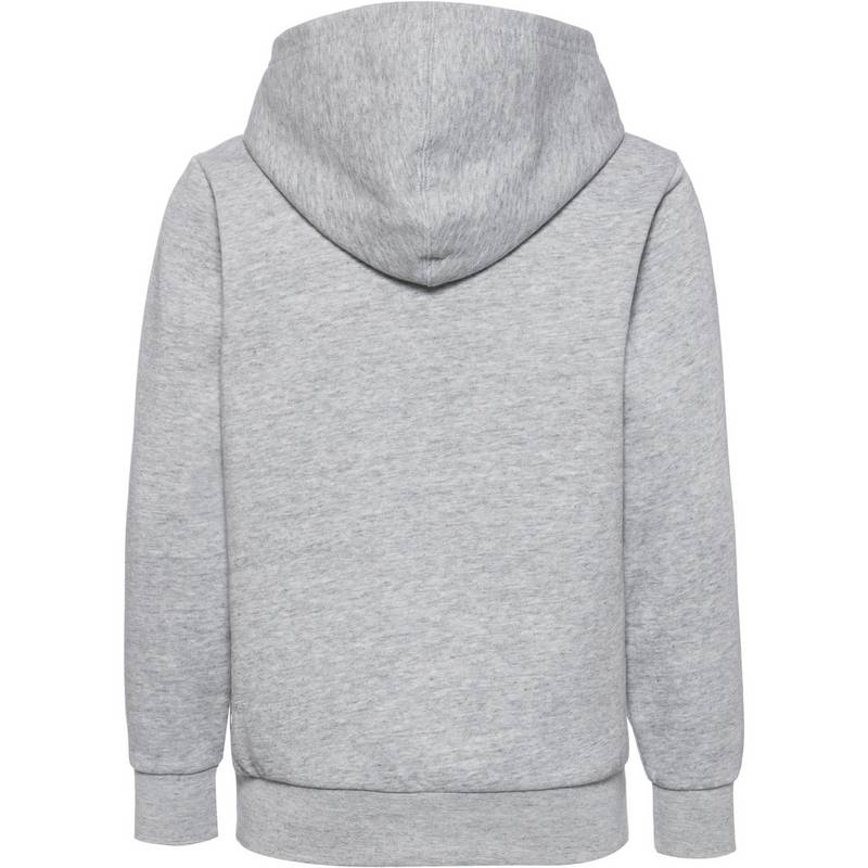 CHAMPION LEGACY AMERICAN CLASSICS Hoodie Jungen