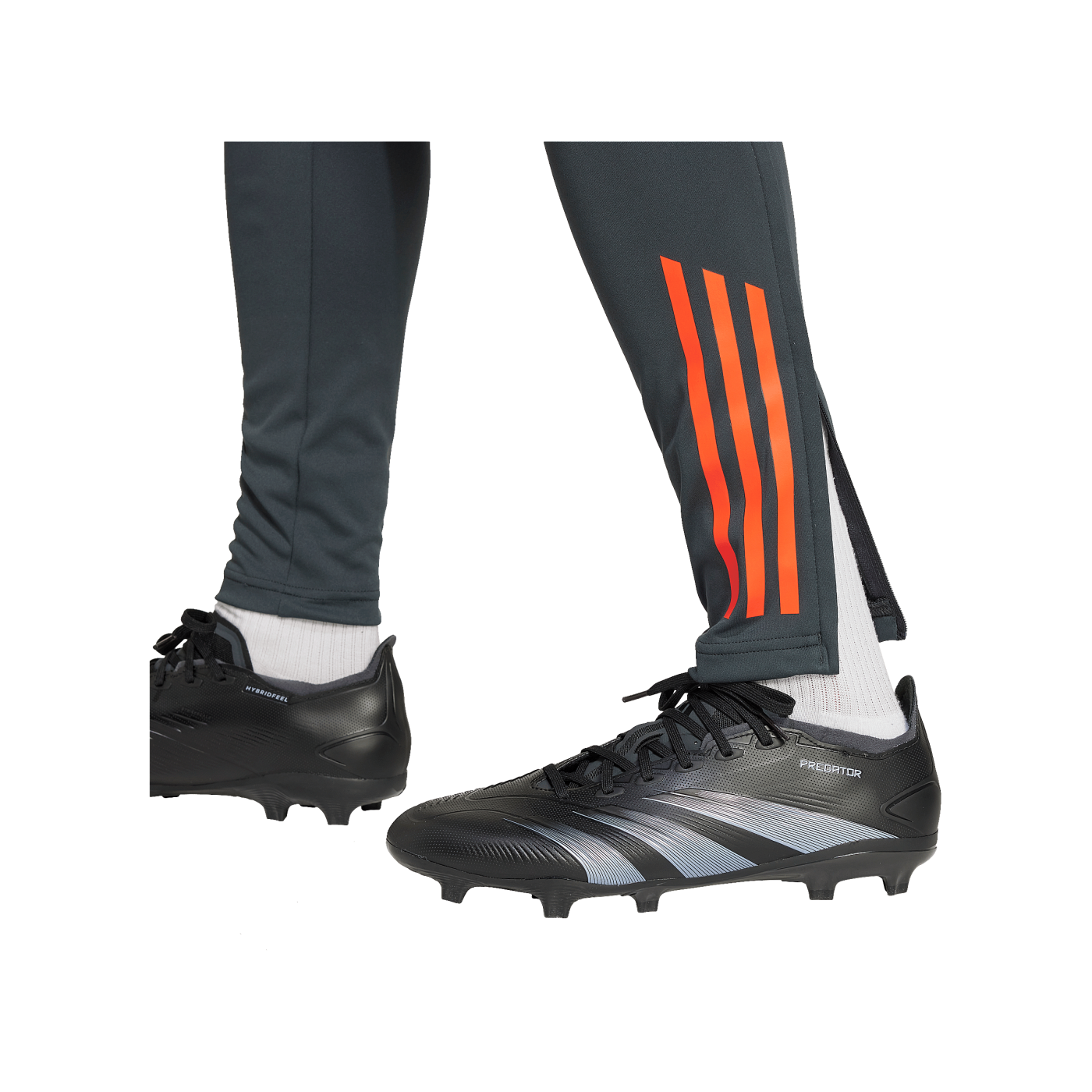 adidas Benfica Lissabon Trainingshose Grau