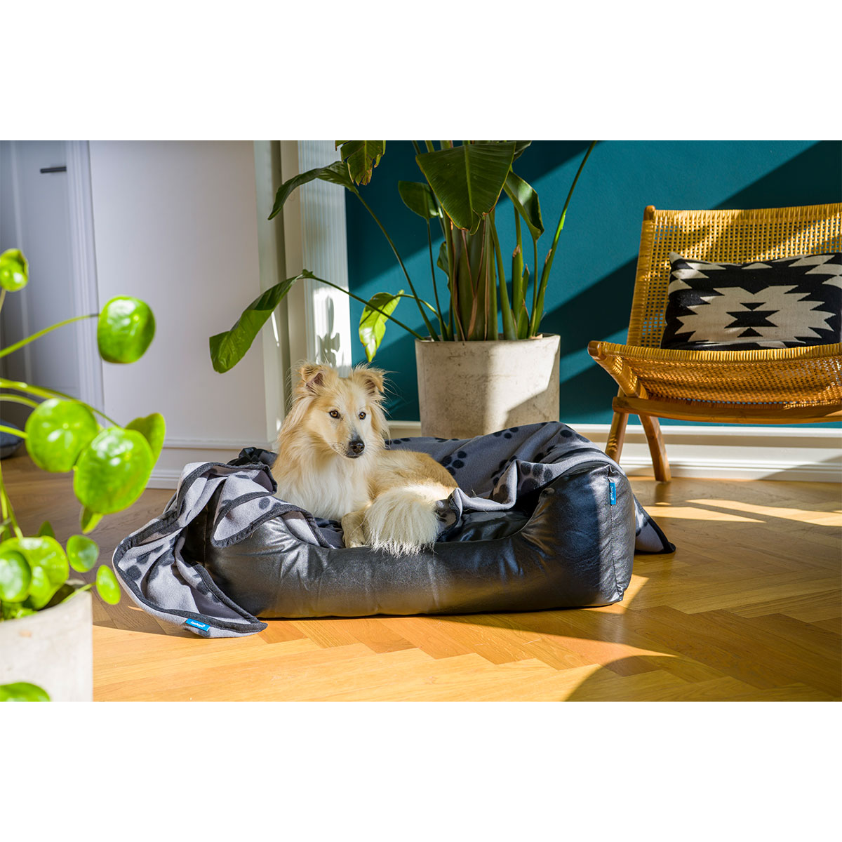 ZooRoyal Kuscheldecke Kali anthrazit günstig kaufen
