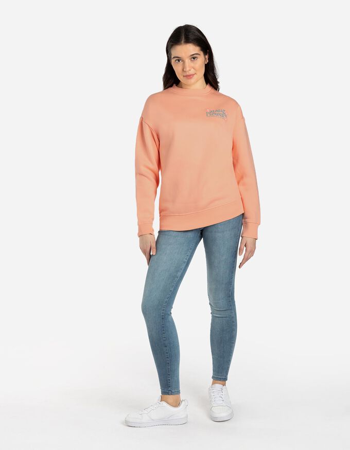Sweatshirt - Rückenprint