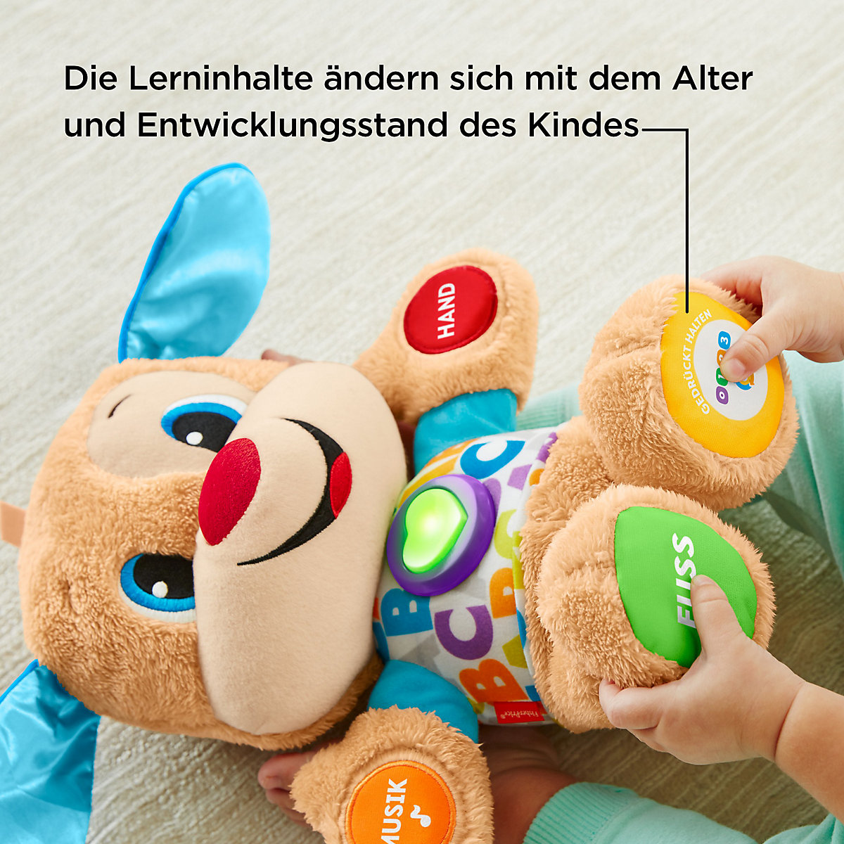 Fisher-Price Lernspaß Hündchen, Baby-Spielzeug mit Musik, Kuscheltier, Lernspielzeug
