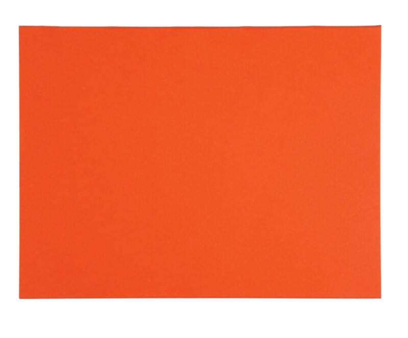 Exacompta Forever Ordnungsmappe DIN A4 Orange Manila Recycelt 100% 170 g/m² 100 Stück