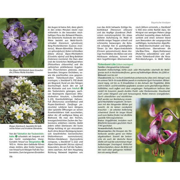 BLUMENWANDERUNGEN BAYERISCHE ALPEN - Wanderführer