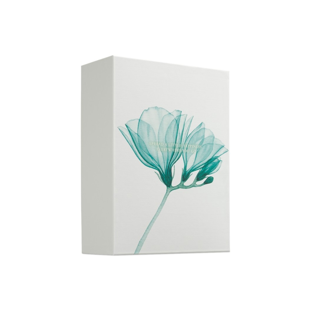Lotus & White Tea Bath & Body Gift Set Large