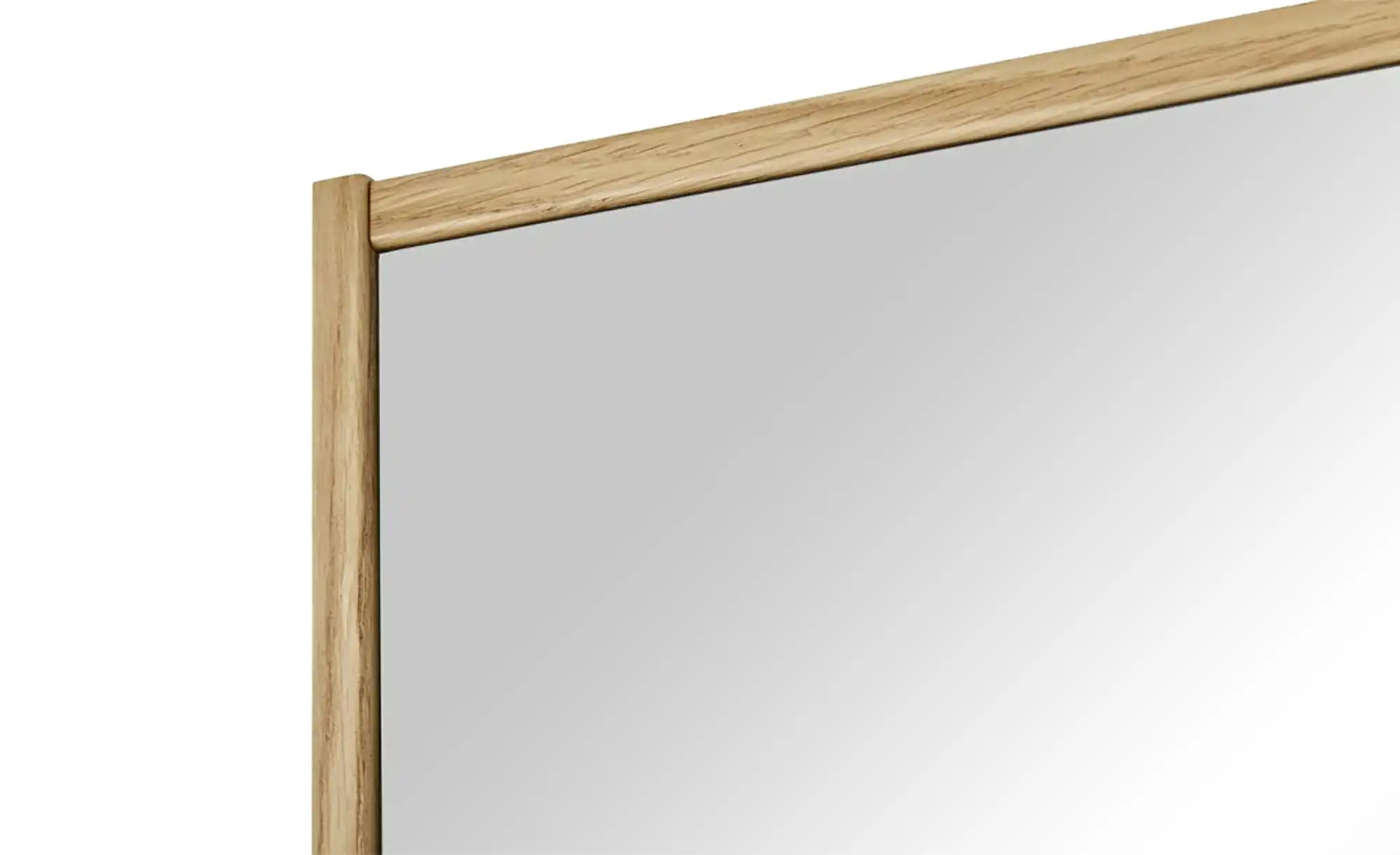 Spiegel 119 x 62 cm
