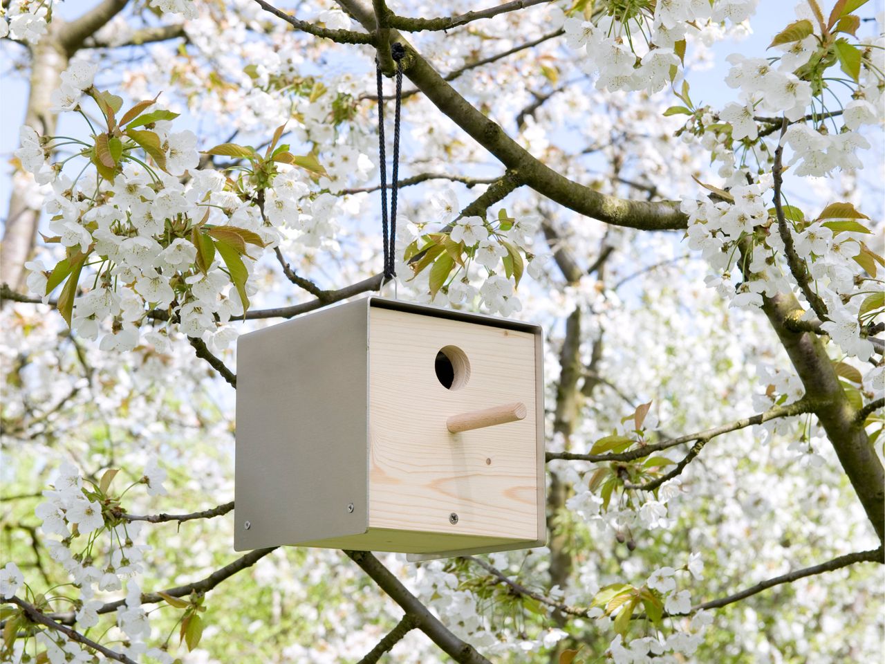 Keilbach Designprodukte Keilbach Nistkasten, Edelstahl, Holzfront