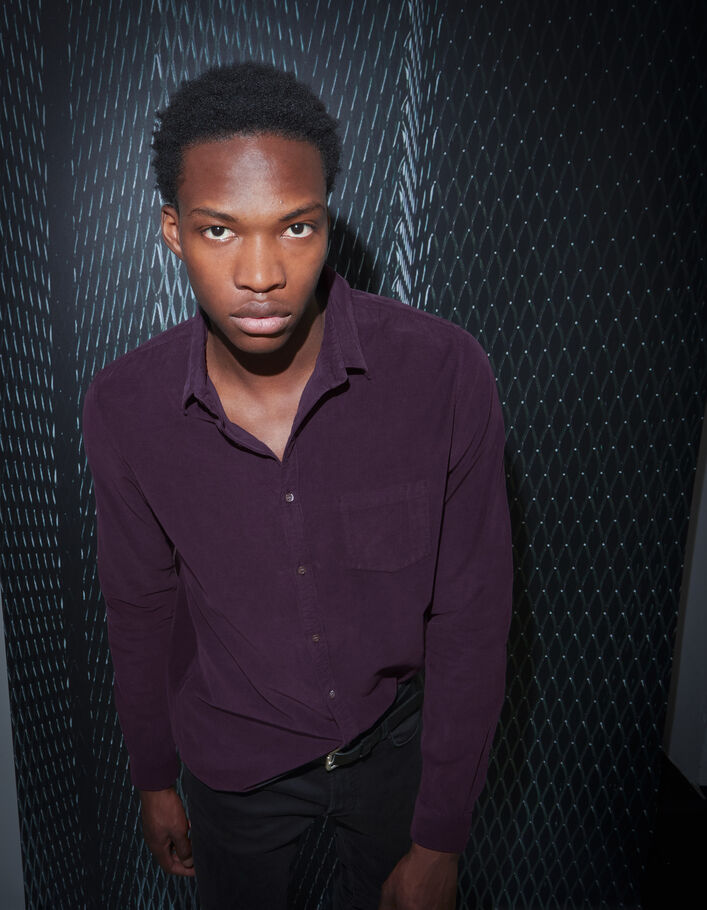 Chemise REGULAR dark plum en velours milleraies Homme