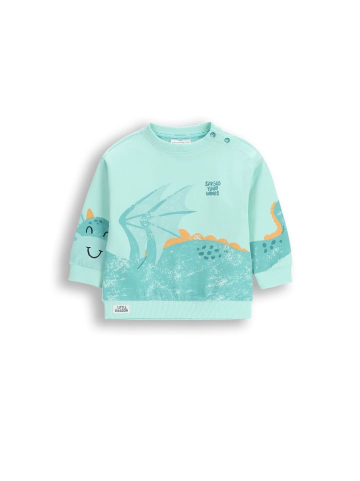 Coccodrillo Langarm-T-Shirt in in Minzfarbe günstig kaufen