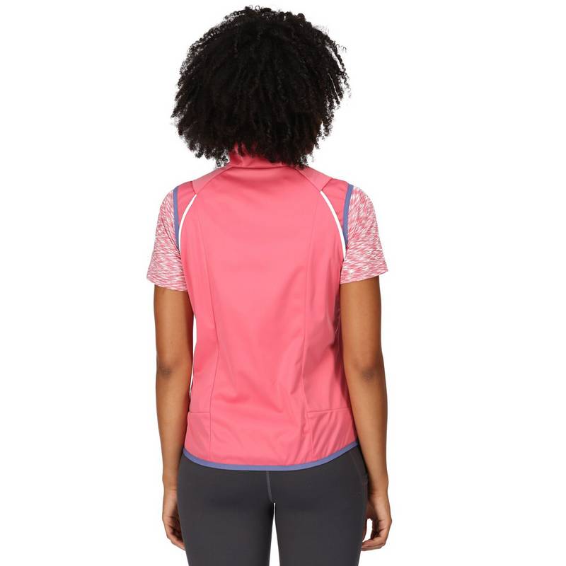Regatta Steren Outdoorjacke Damen