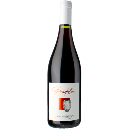 PRADELOU 2021 - DOMAINE LA TERRASSE D'ELISE