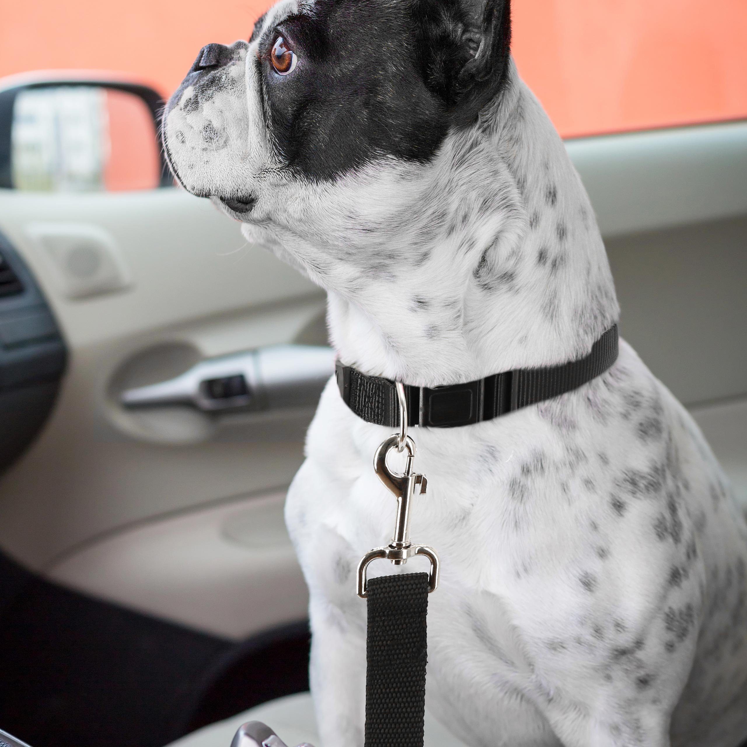 Lantelme Autohundegeschirr Hundeleine Sicherheitsgurt PKW, 4,5cm Breit 60 bis 95cm Lang