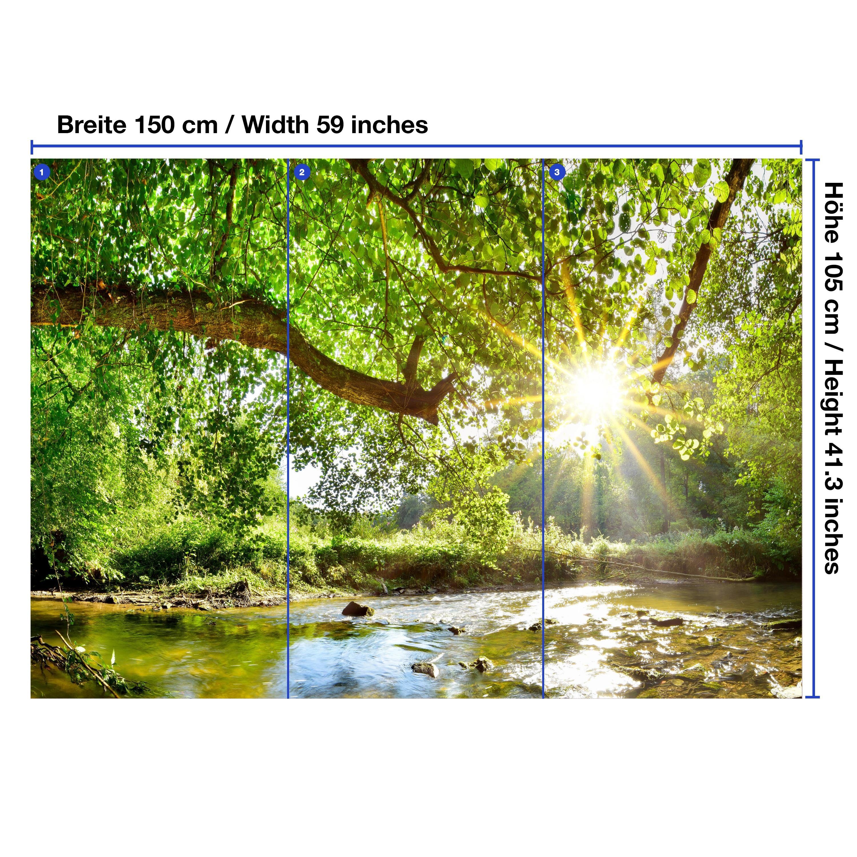 wandmotiv24 Fototapete Wald mit Fluss, glatt, Wandtapete, Motivtapete, matt, Vliestapete