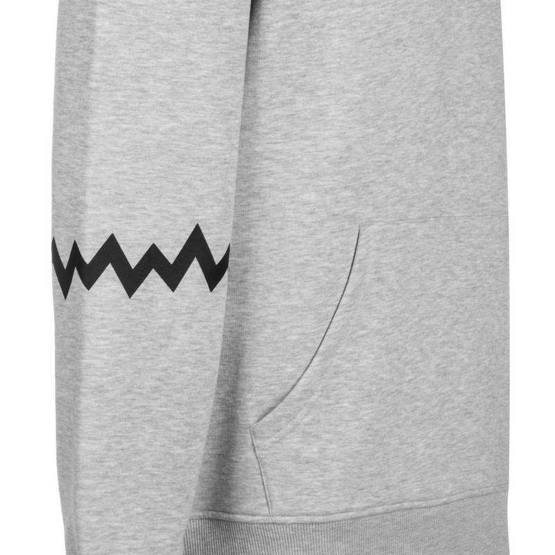 PUMA Hoops Team Hoodie Herren