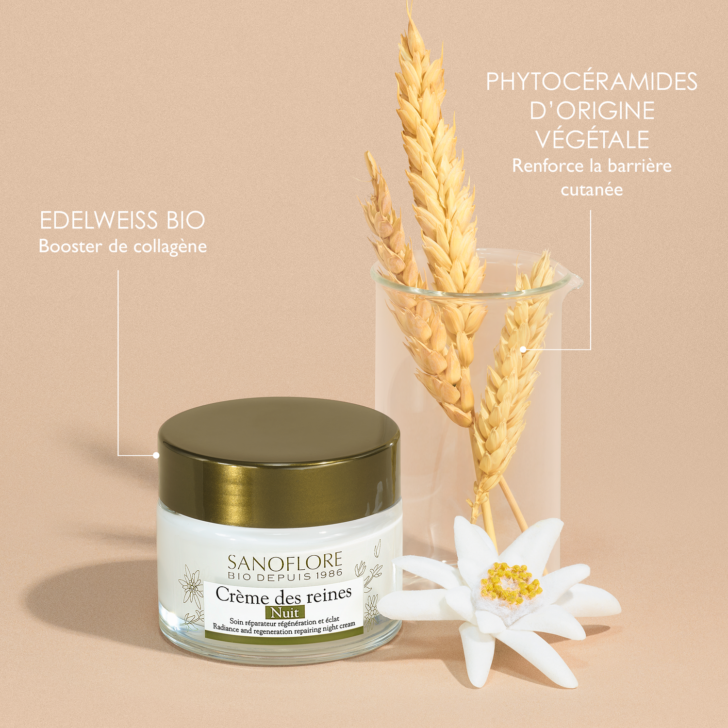Sanoflore Crème des Reines Nuit Soin de Nuit Anti-âge régénérant 50 ml