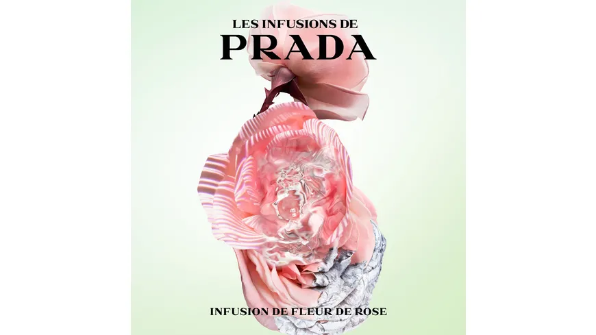 Prada Infusion de Rose Eau de Parfum 100 ml