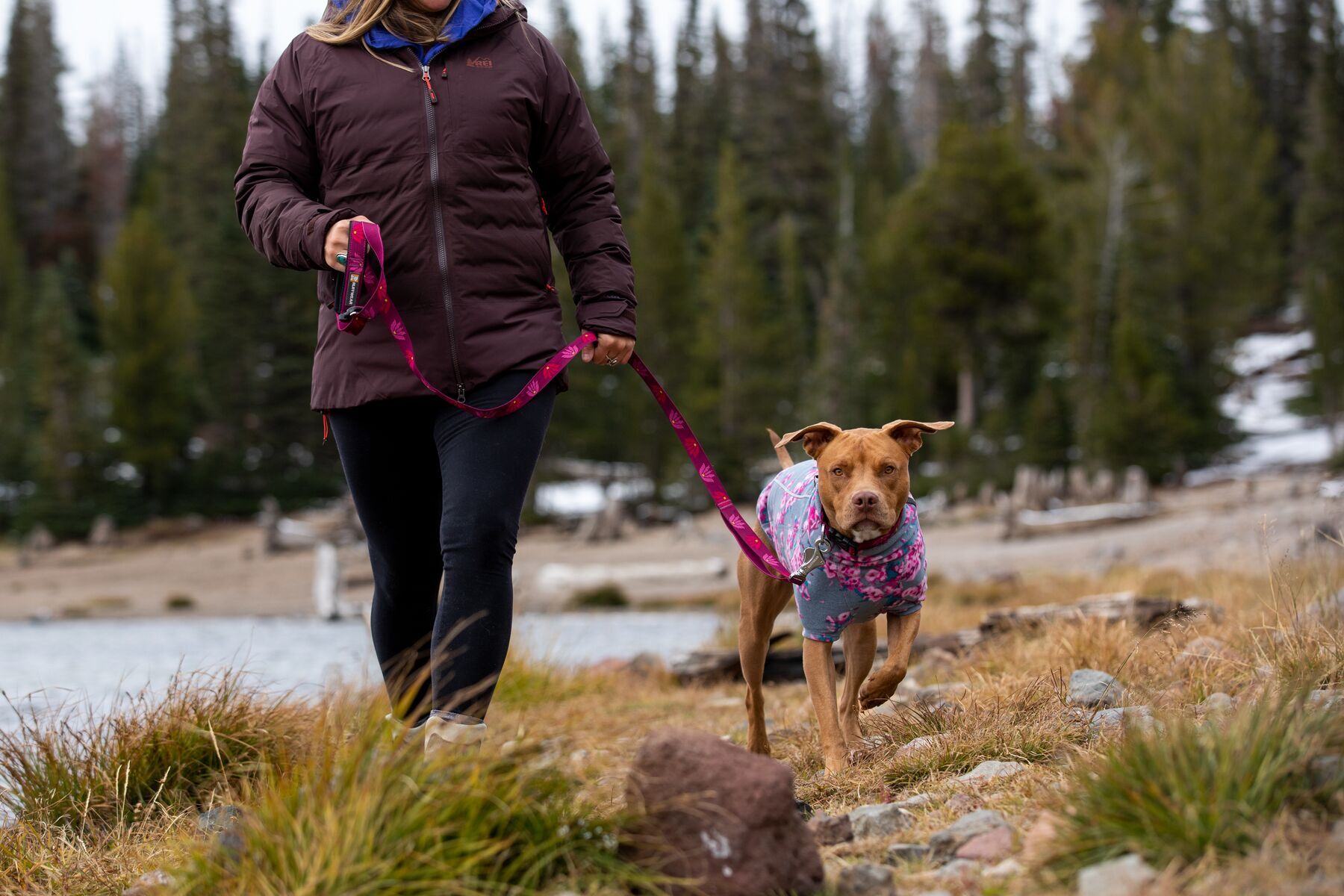 Ruffwear Hundemäntel Ruffwear Climate Changer™ Fleece-Jacke Für Hunde lila/ grau XXS
