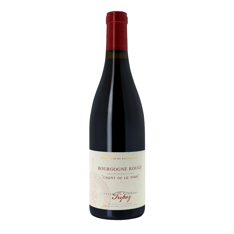 Bourgogne Chant de la Tour 2020 - Bourgogne Aoc - Bourgogne - Céline et Laurent Tripoz (75CL.)
